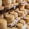 Fromages de printemps à savourer dès le retour du soleil 